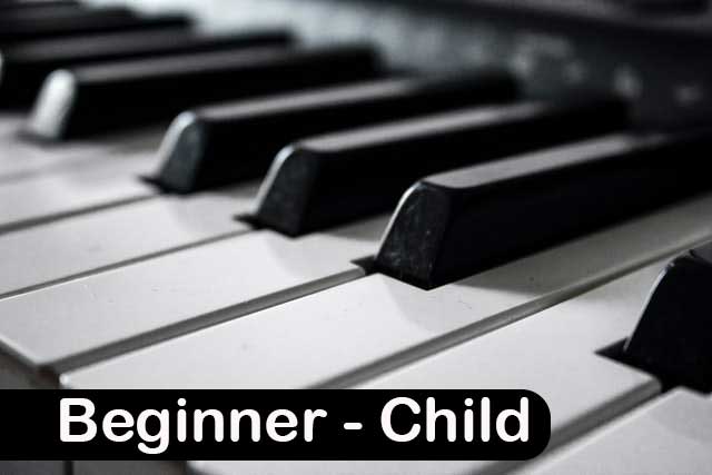 30 minute piano lesson image